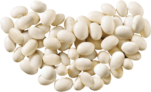 White Beans Pile PNG Transparent Background