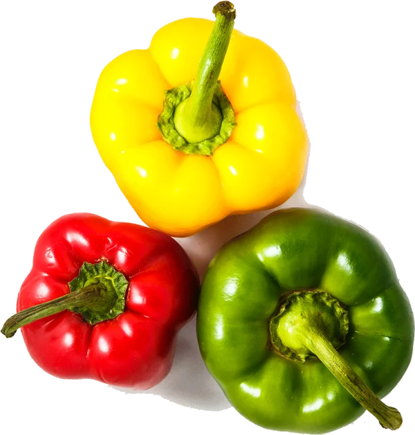 Colorful Bell Peppers PNG Transparent Background