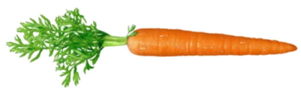 Fresh Carrot with Green Leaves PNG Transparent Background