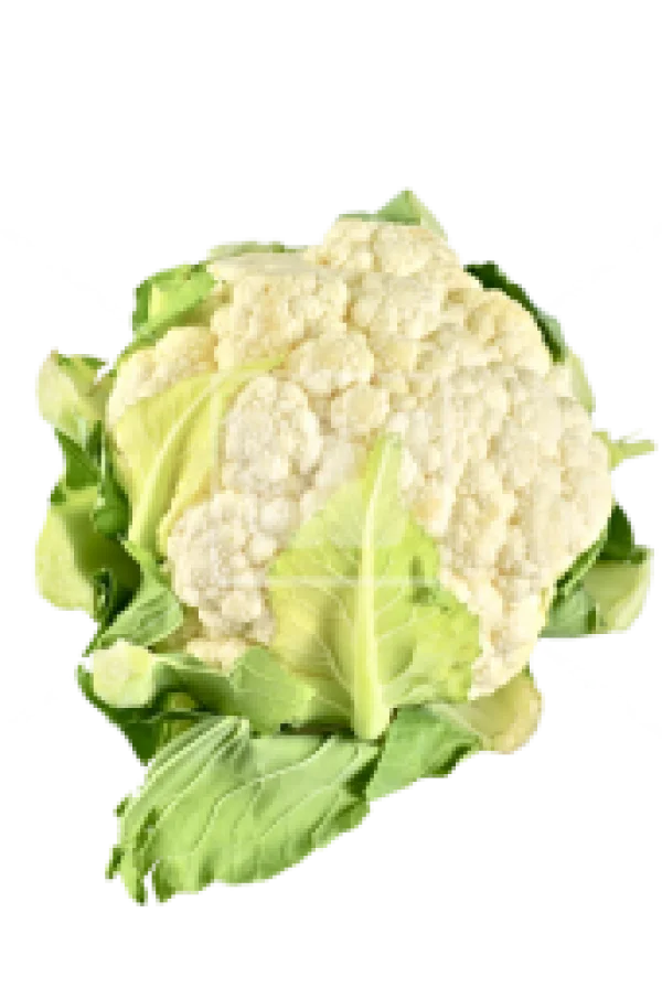 Fresh Cauliflower Head PNG Transparent Background