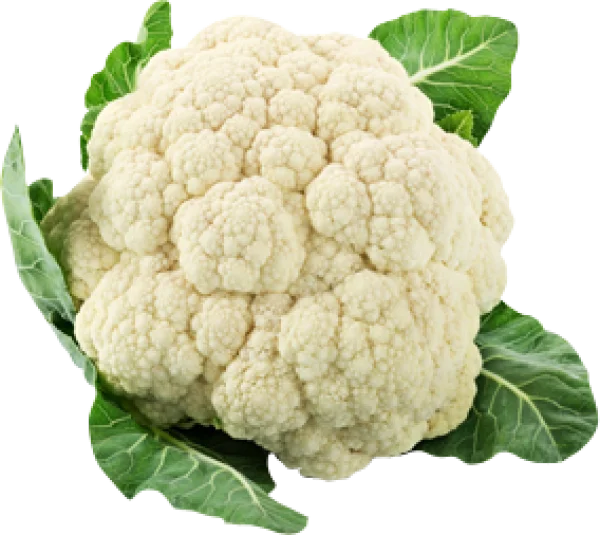 Fresh Cauliflower PNG Transparent Background