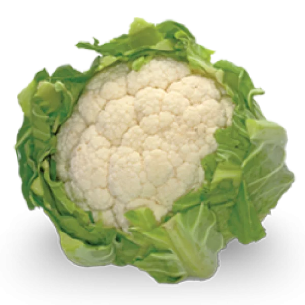 Fresh Cauliflower Head PNG Transparent Background