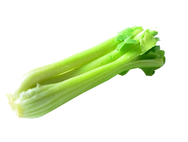 Fresh Green Celery Stalks PNG Transparent