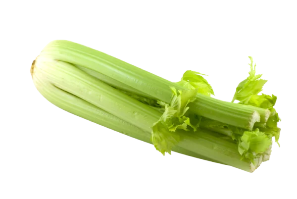 Fresh Celery Stalks PNG Transparent Background