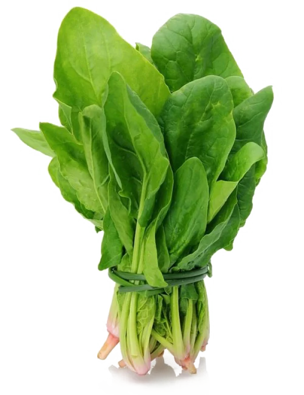 Fresh Spinach Bunch PNG Transparent Background