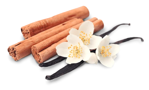 Cinnamon Sticks Vanilla Pods and Jasmine Flowers PNG Transparent Background