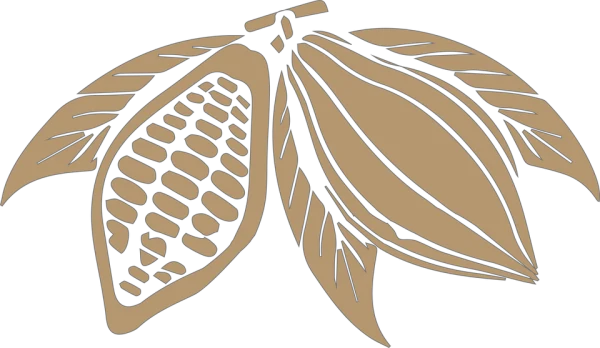 Cocoa Pods with Leaves PNG Transparent Background