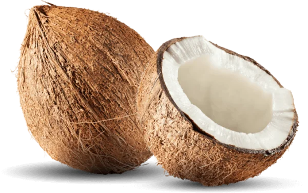 Fresh Coconut and Half Transparent PNG