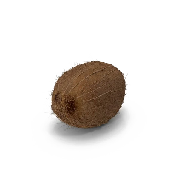 Whole Coconut PNG Transparent Background