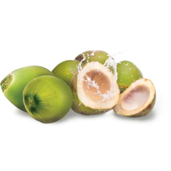 Young Green Coconuts with Splash PNG Transparent Background