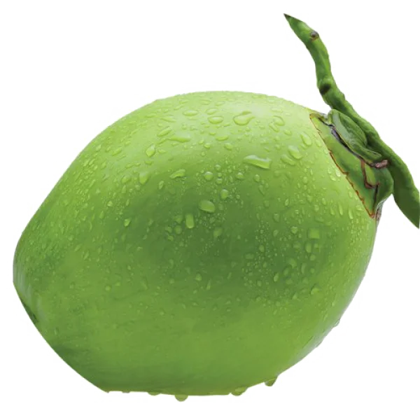 Fresh Green Coconut with Water Droplets PNG