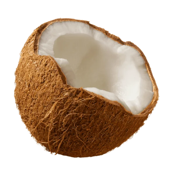 Cracked Coconut Half PNG Transparent Background