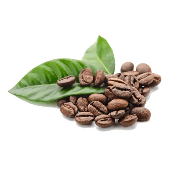 Roasted Coffee Beans with Green Leaf PNG Transparent