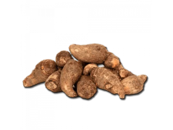 Taro Roots PNG Transparent Background