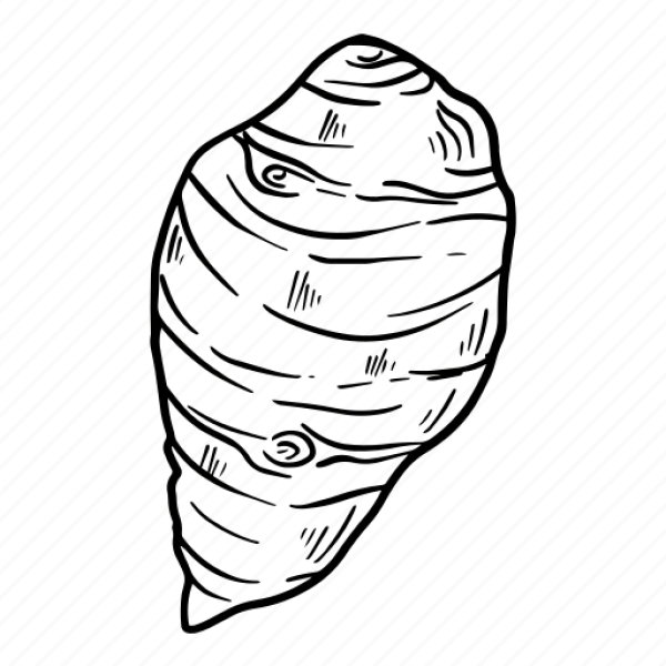 Black Outline Tornado Vortex PNG Transparent Background