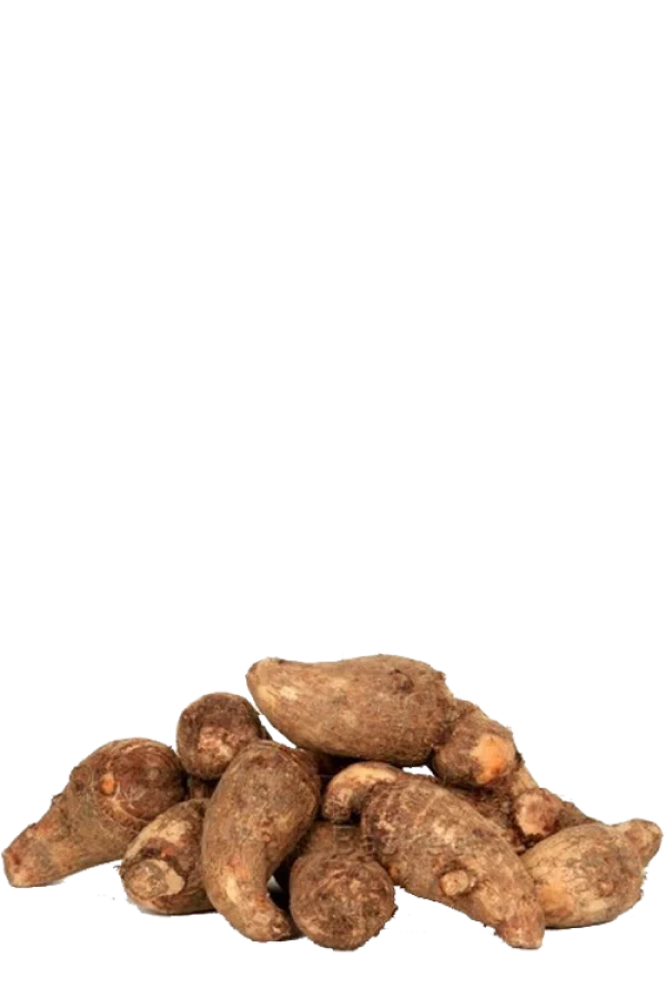 Taro Roots PNG Transparent Background
