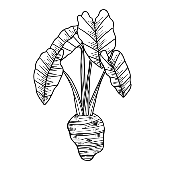 Black Solid Color Background PNG