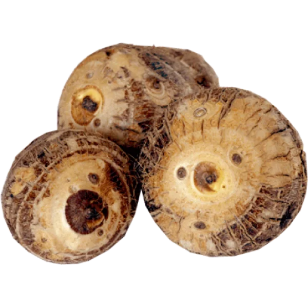 Fresh Taro Roots PNG Transparent Background