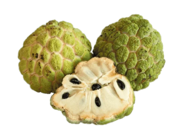 Fresh Custard Apples PNG Transparent Background