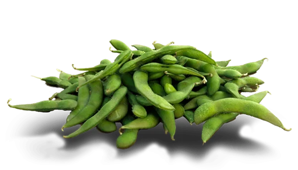 Fresh Edamame Pods PNG Transparent Background
