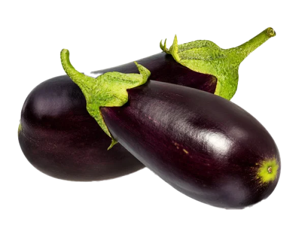 Fresh Eggplants PNG Transparent Background