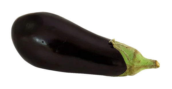 Fresh Eggplant PNG Transparent Background