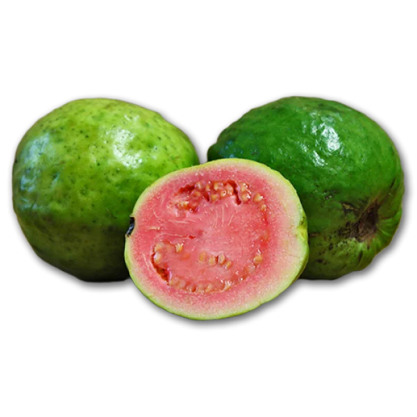 Pink Guava Fruit Transparent Background