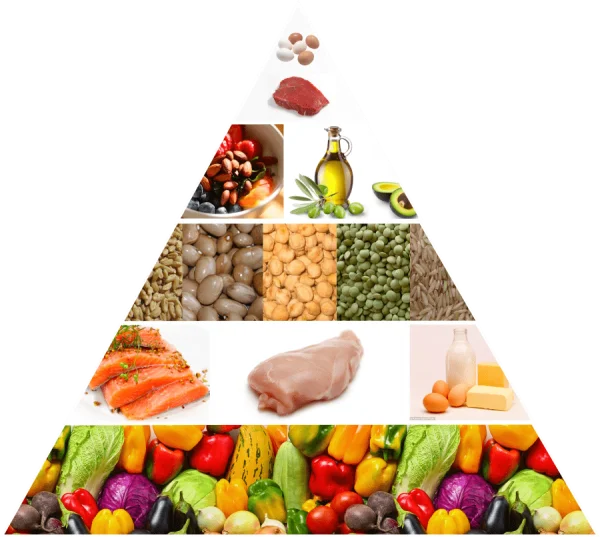 Food Pyramid Healthy Eating Guide PNG Transparent Background