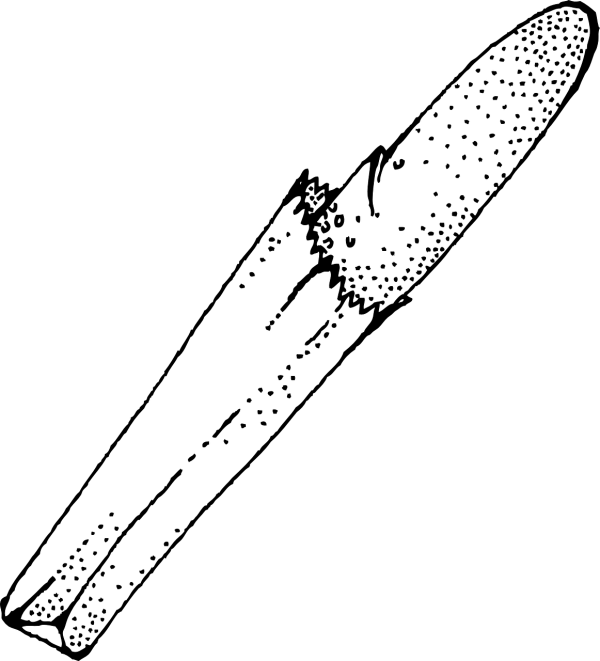 Empty Transparent PNG Background