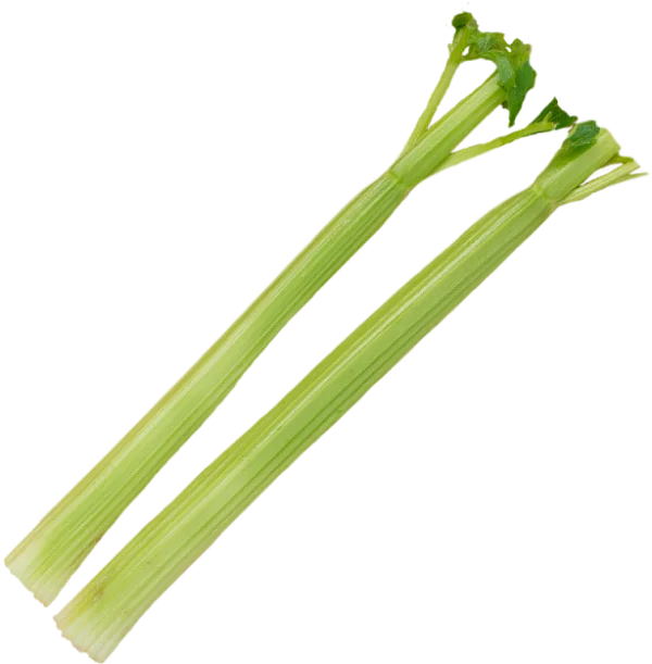 Two Fresh Celery Stalks PNG Transparent Background