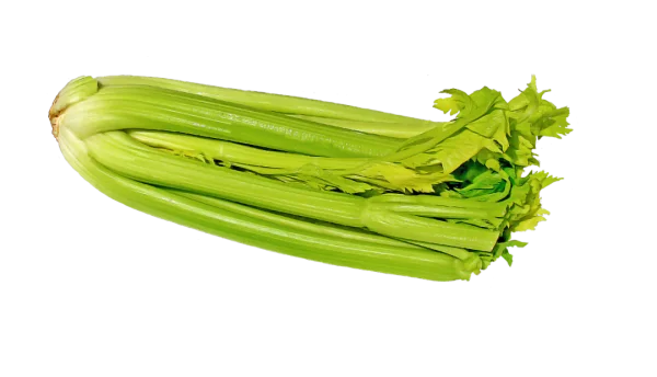 Fresh Green Celery Bunch PNG Transparent Background