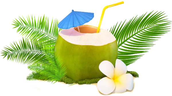 Tropical Coconut Drink PNG with Palm Leaves