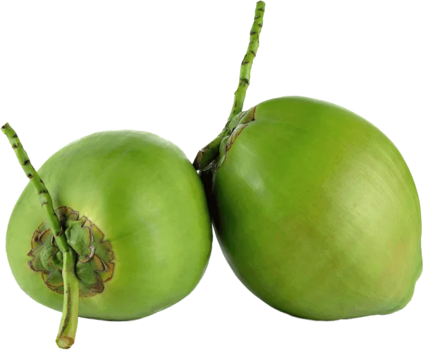 Two Green Coconuts PNG Transparent Background