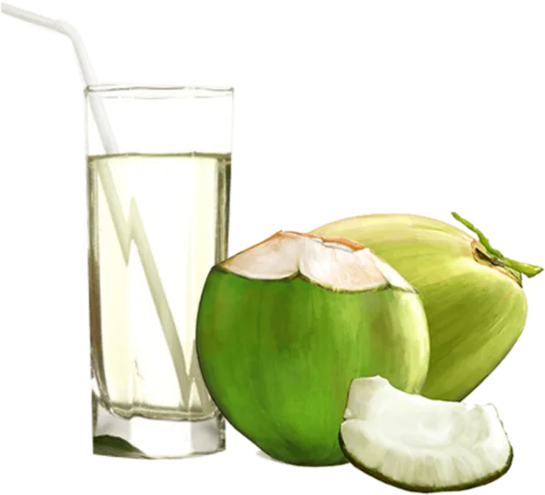 Green Coconuts and Coconut Water PNG Transparent