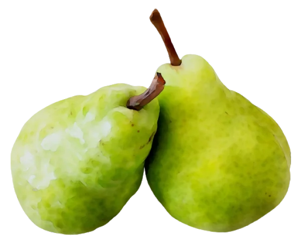 Two Green Pears PNG Transparent Background