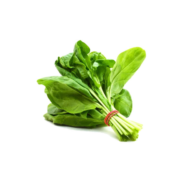 Fresh Spinach Bunch PNG Transparent Background