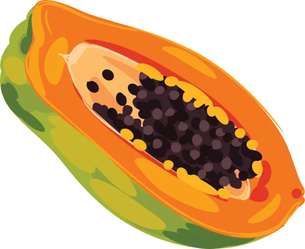 Half Cut Papaya PNG Transparent Background