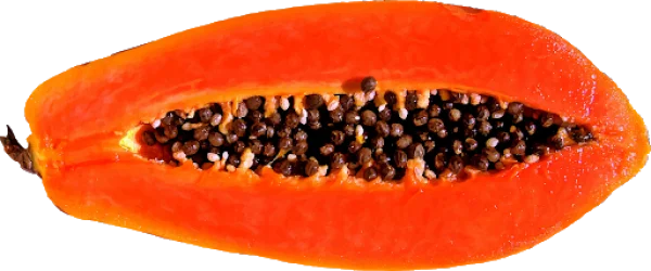 Sliced Papaya Fruit PNG Transparent Background