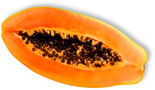 Half Cut Papaya PNG Transparent Background