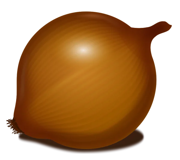 Whole Brown Onion PNG Transparent Background