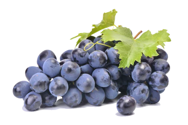 Fresh Purple Grapes Bunch PNG Transparent Background