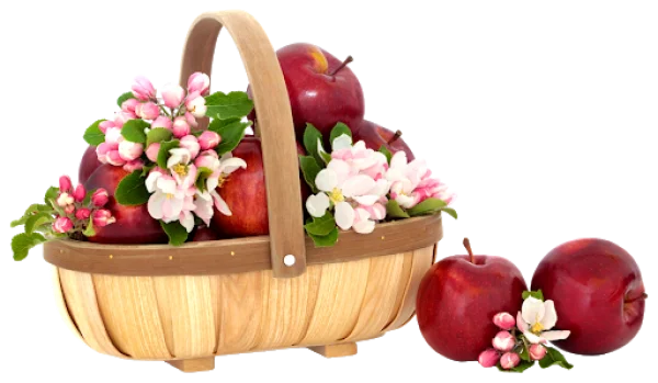 Basket of Red Apples with Blossoms PNG Transparent