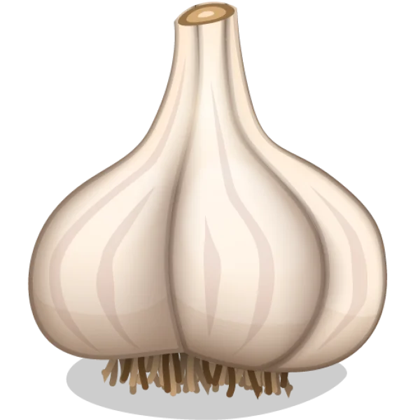 Whole Garlic Head PNG Transparent Background