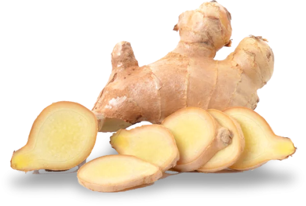 Fresh Ginger Root and Slices PNG Transparent Background