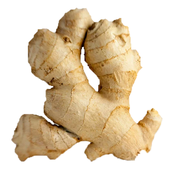 Ginger Root PNG Transparent Background