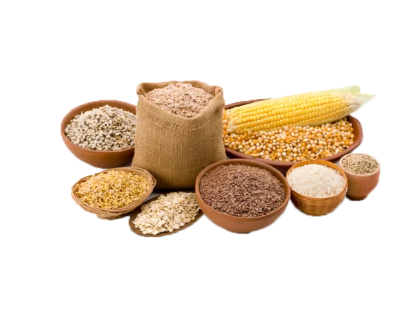 Assortment of Grains and Cereals PNG Transparent Background