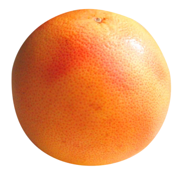 Whole Pink Grapefruit PNG Transparent Background