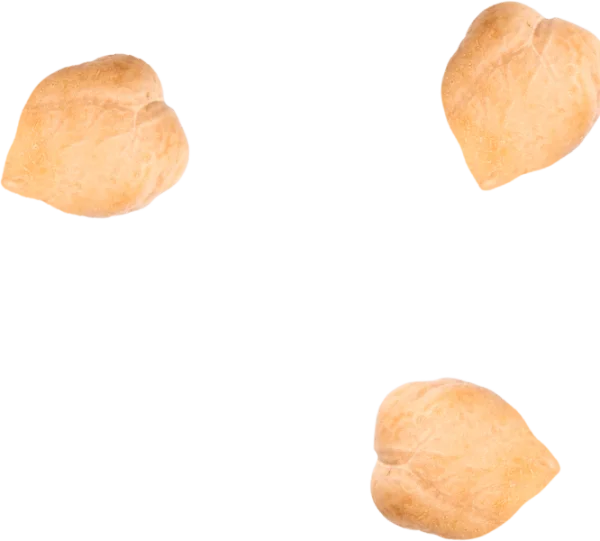 Baked Bread Roll PNG Transparent Background