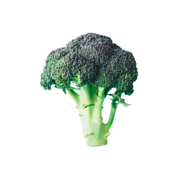 Fresh Green Broccoli PNG Transparent Background