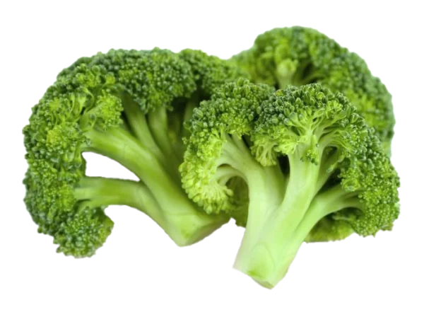 Fresh Broccoli Florets PNG Transparent Background